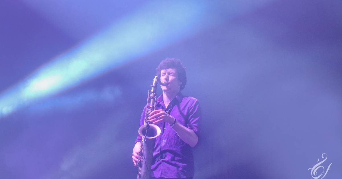 Darcy Clearwater